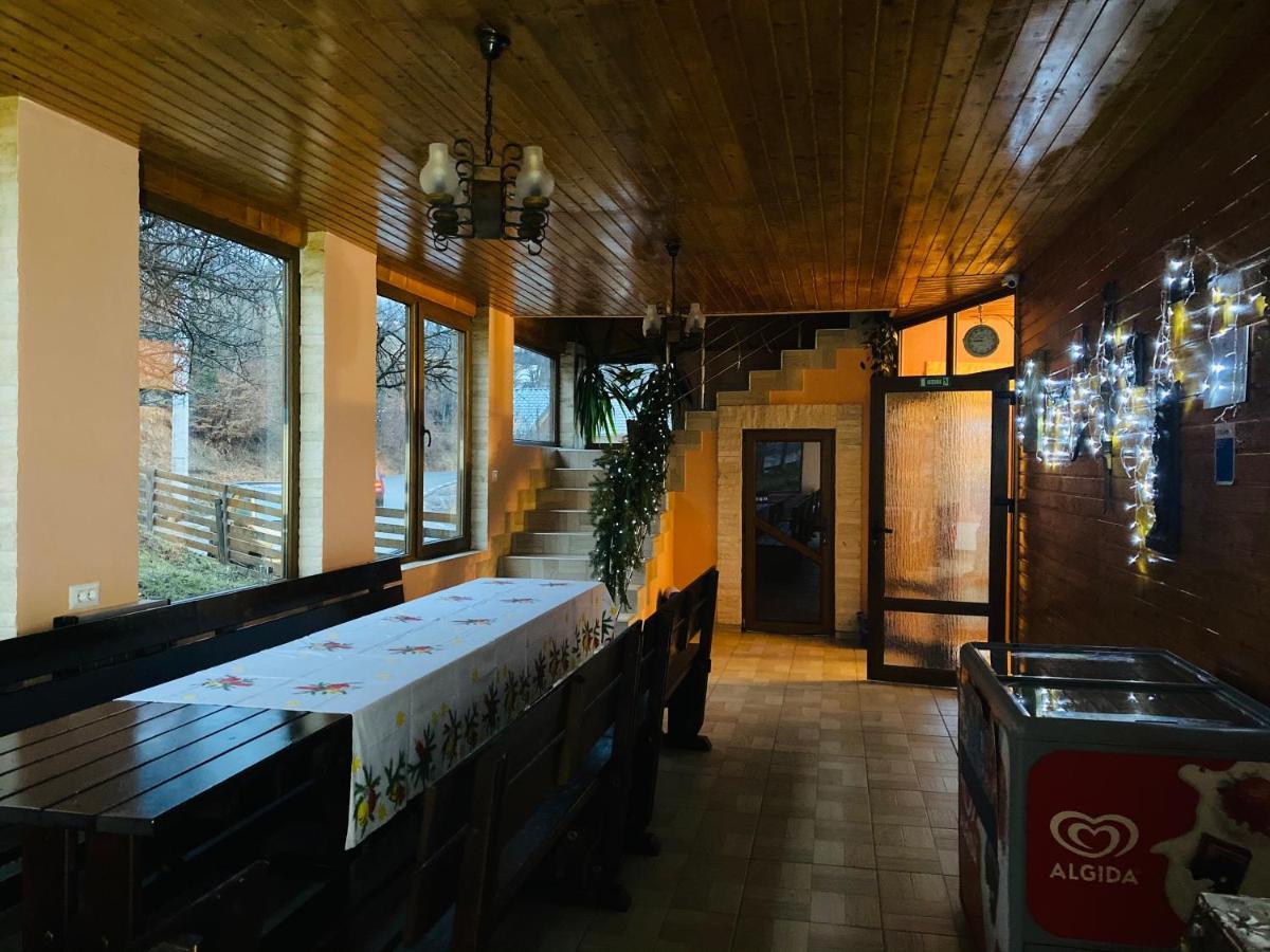 Guest house Pensiunea Alexolar *
