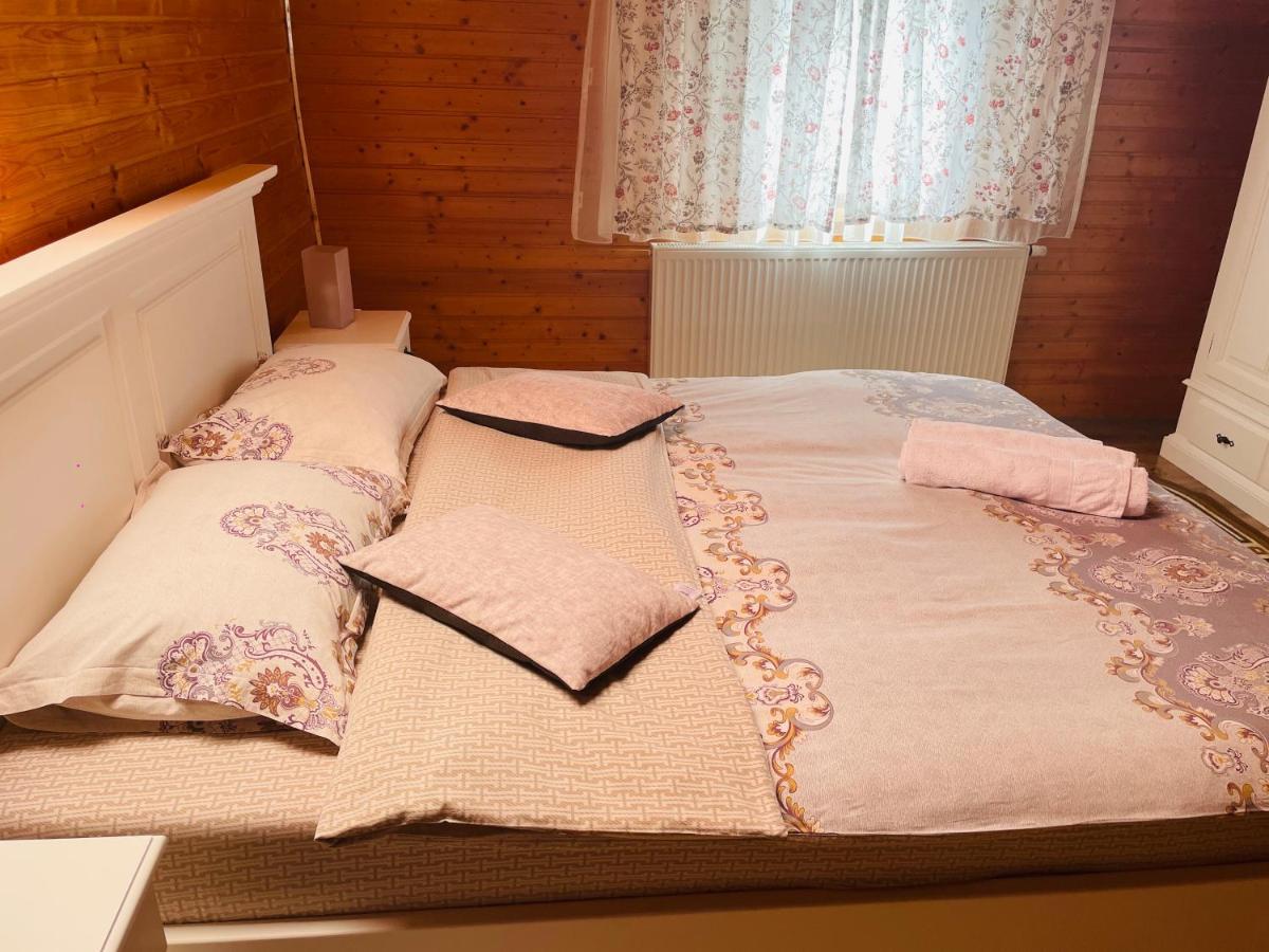 Pensiunea Alexolar Guest house