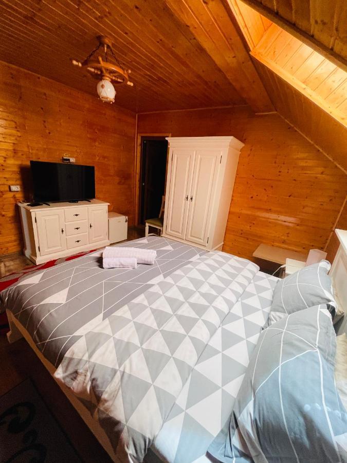 Guest house Pensiunea Alexolar